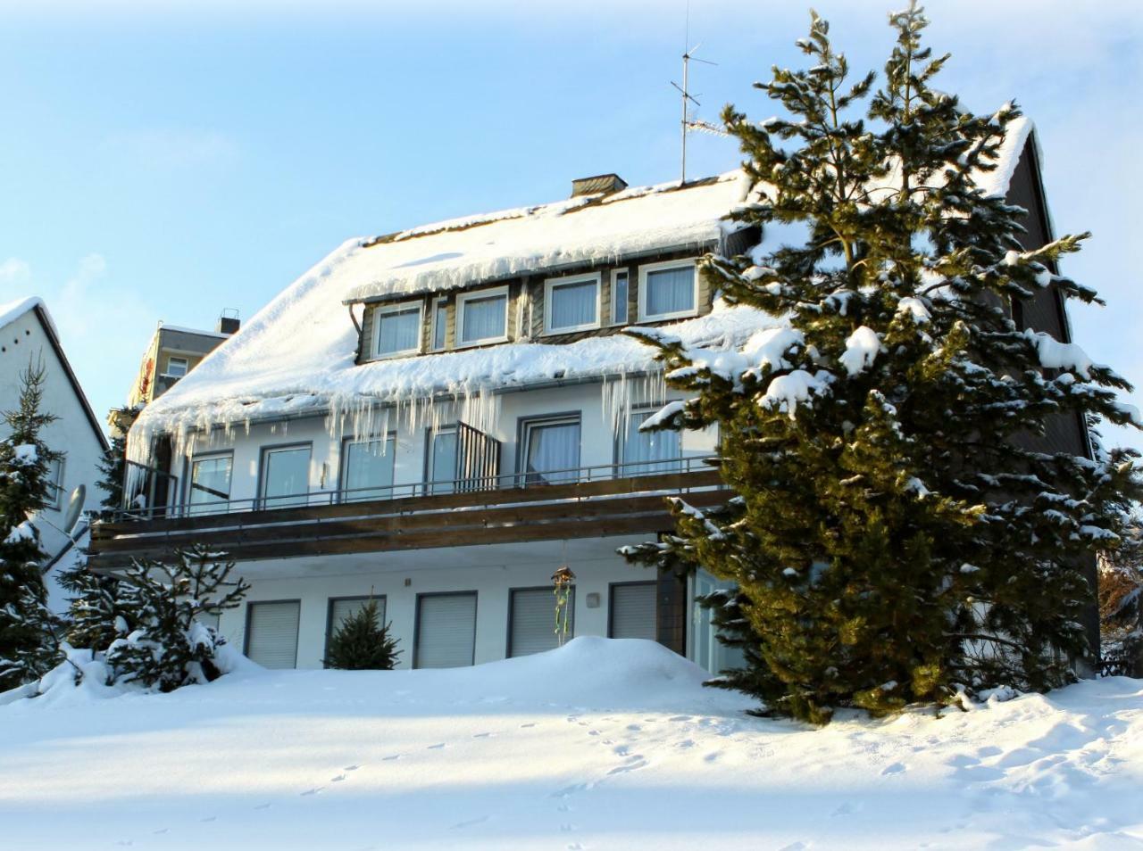 Komfort-Fewo Ettelsberg-Panorama Willingen  Bilik gambar